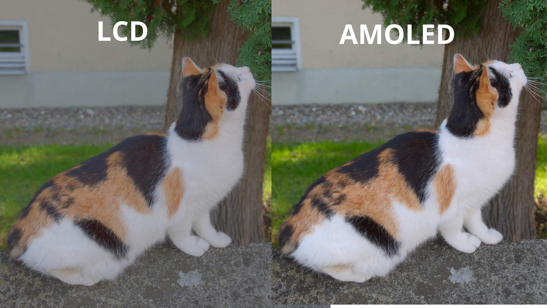 Công nghệ màn hình AMOLED, Công nghệ màn hình FHD, Công nghệ màn hình LCD