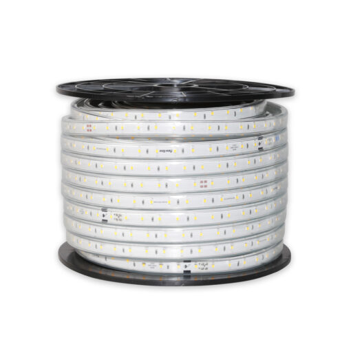 led-day-100m