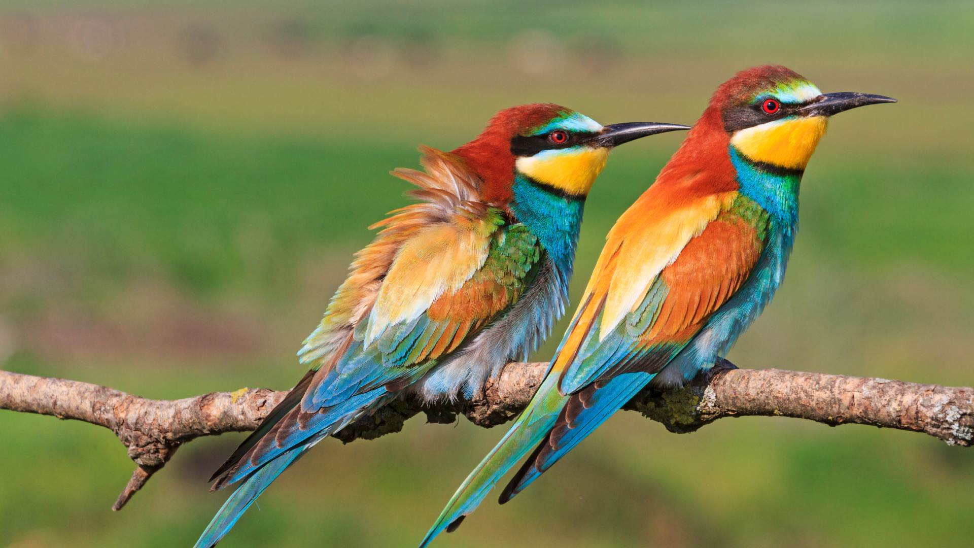 Camera chụp hình đẹp (3)