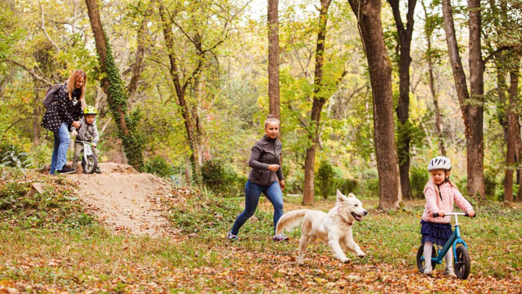 Camera giám sát AI có tự phân biệt người và thú vật