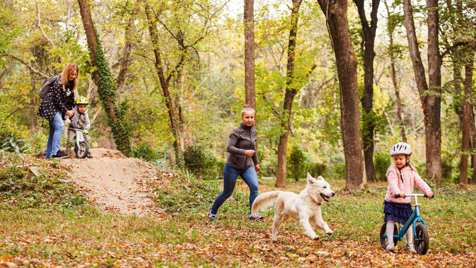 Camera giám sát dùng AI IQ thực sự thông minh tới mức nào? - FPT Smart home Camera giám sát AI có tự phân biệt người và thú vật