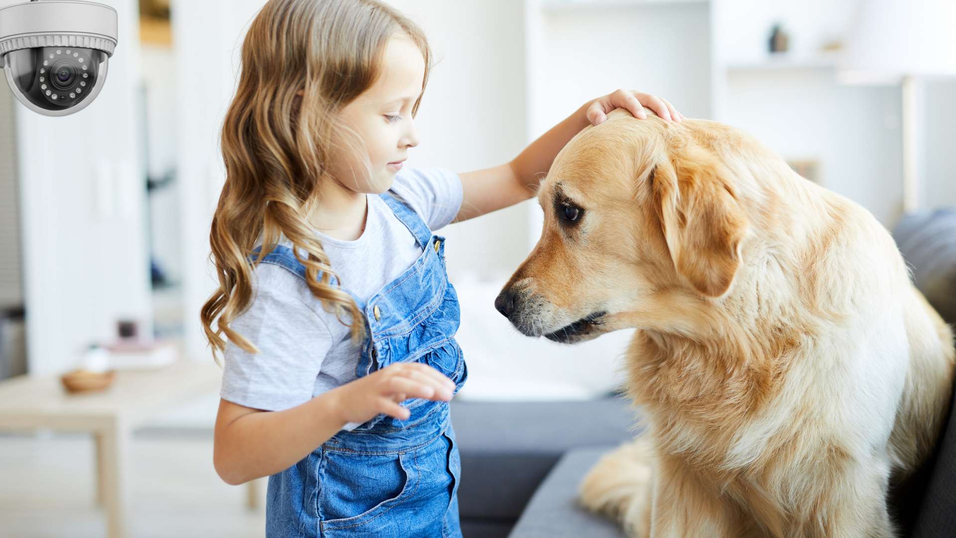 Camera giám sát dùng AI IQ thực sự thông minh tới mức nào? - FPT Smart home Khả năng phân biệt người và vật của Camera AI giám sát có làm được không