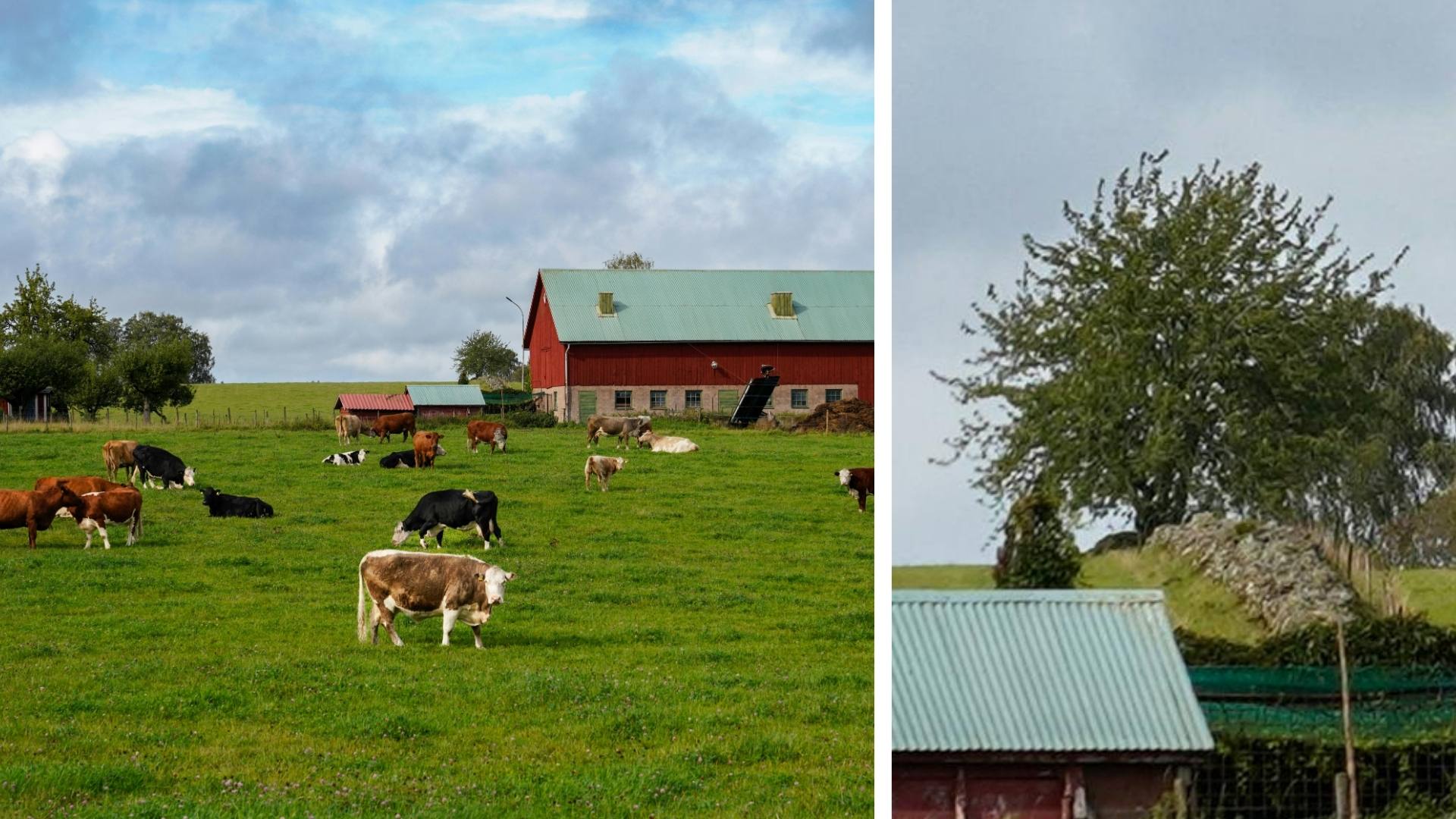 Zoom Kỹ Thuật Số 100x Space Zoom Galaxy S26 Ultra